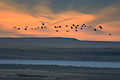 Atardecer 6 Gallocanta.jpg
