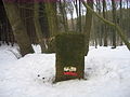 2010-02 Wittekindsweg Nonnenstein-Heidbrink 054.jpg
