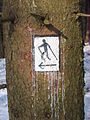 2010-02 Wittekindsweg Nonnenstein-Heidbrink 009.jpg