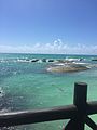 Ocean in cancun.jpg